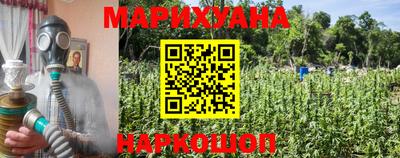 PSILOCYBIN Заволжье