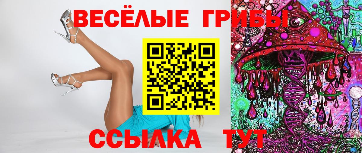 Братск  Галлюциногенные грибы мухоморы  Псилоцибиновые грибы прущие грибы  Вход с VPN 